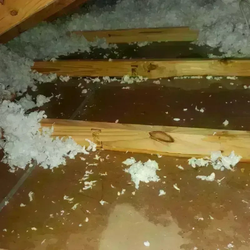 Attic Water Damage in Dublin, NH